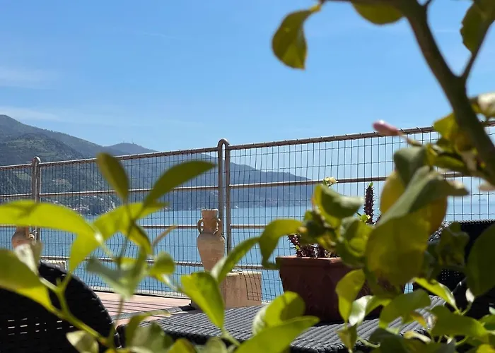 La Casa Sul Mare - Monterosso - Cinque Terre
